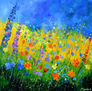 Summer meadow