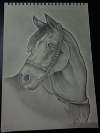 Caballo a ✏️
