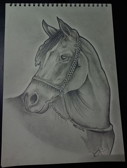 Caballo a ✏️
