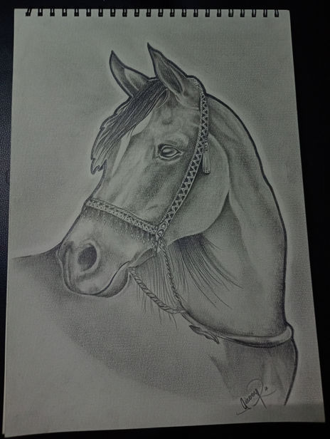 Caballo a ✏️