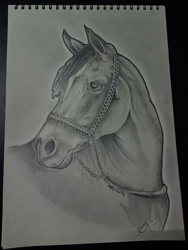 Caballo a ✏️