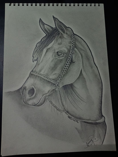 Caballo a ✏️ Lápiz