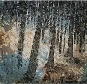 Pinar de Tamadaba...