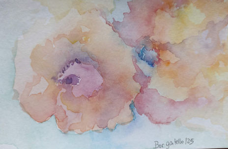 Delicadeza Floral