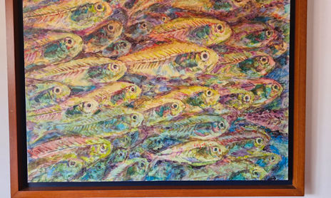 Peces