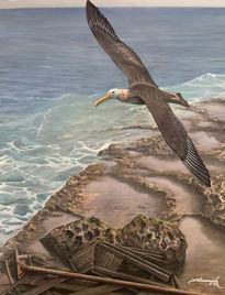 Volando San Andrés