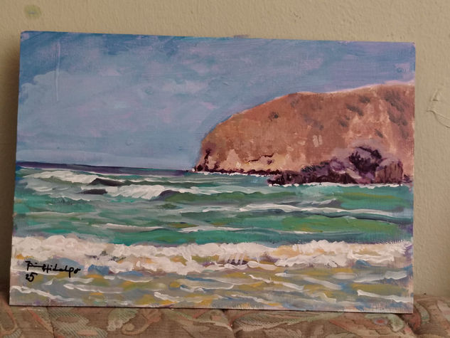 playa de la Pava (Mazarrón) Acrylic Panel Marine Painting