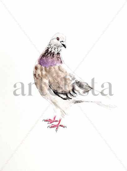Otra Bonita Paloma Watercolour Paper Animals