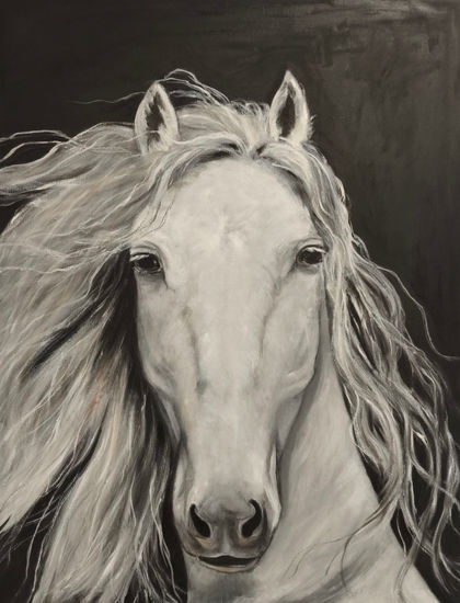 Libertad Óleo Lienzo Animales