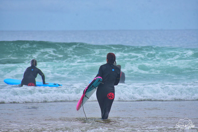Surf Deportiva Color (Digital)