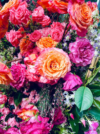 Flores