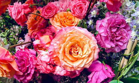 Flores