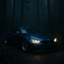 Bmw en el bosque