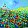 Red poppies