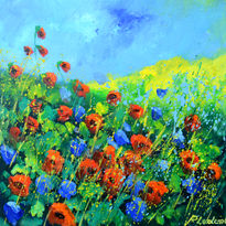 Red poppies