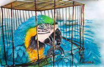 Loro azul