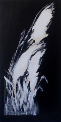 Cortadera