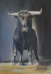 Taureau dans le...