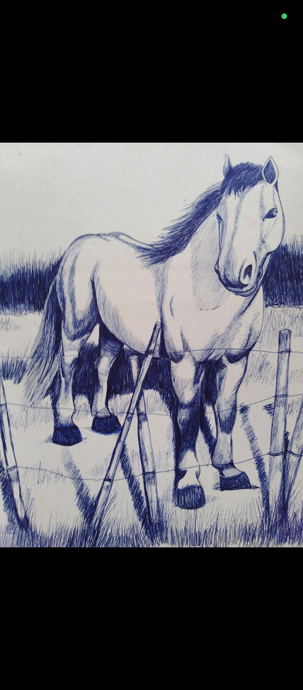 Caballo salvaje