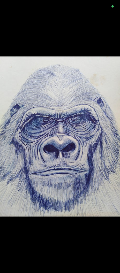 King kong