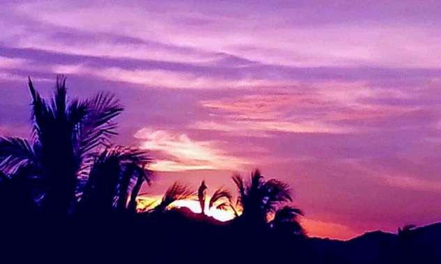 La vida en rosa Nature Color (Digital)