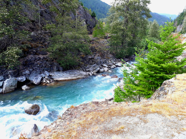 Recuerdos Naturaleza Color (Digital)