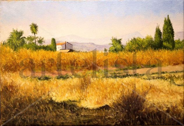 Huerta de Moncofa