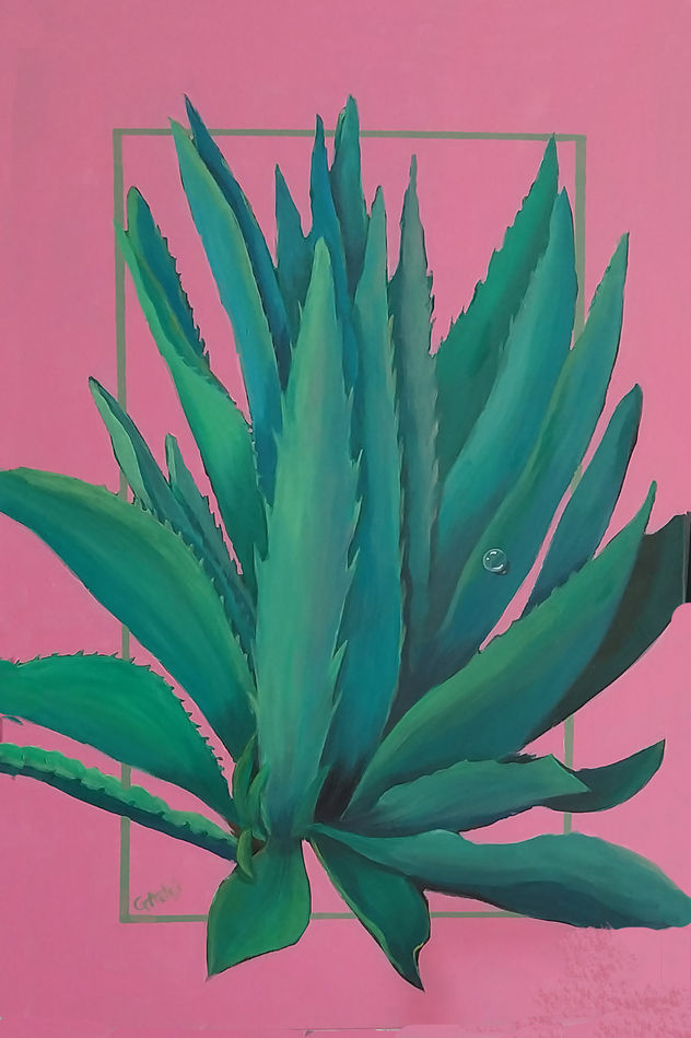 ALOE SOBRE ROSA. 90x60