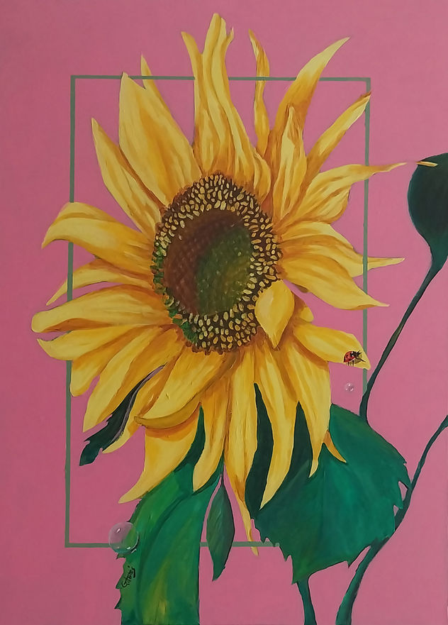 GIRASOL SOBRE. ROSA. 80 x 60