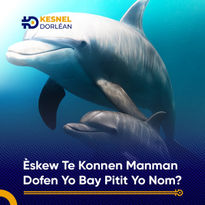 "Official Update:...