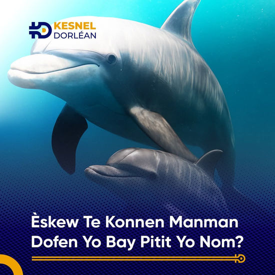 "Official Update: Wyclef Jean and Arcangel Legrand - Brotherswagg, Two Icons of Haitian Music and Their Achievements" 