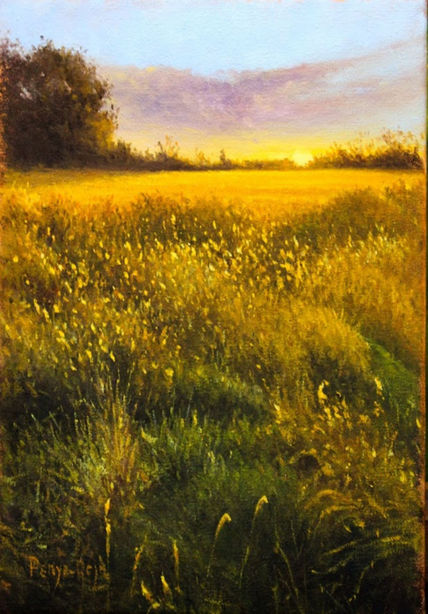 Symphony in Gold...