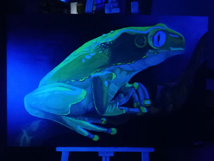 Kambo Desires