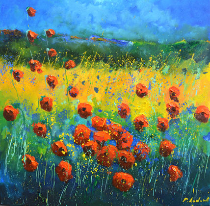 Red poppies