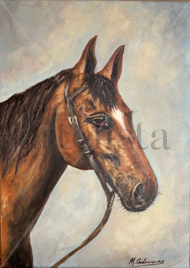 Caballo Óleo Lienzo Animales