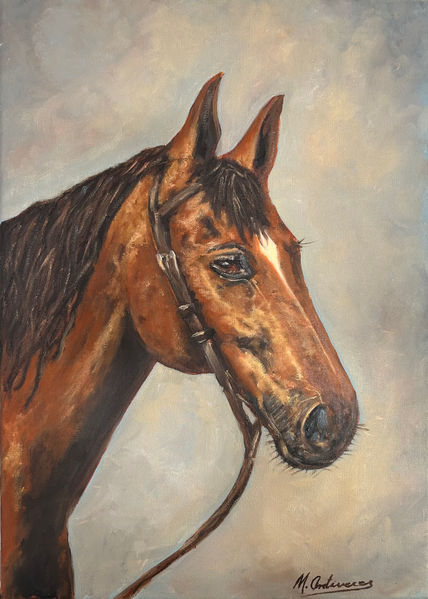 Caballo