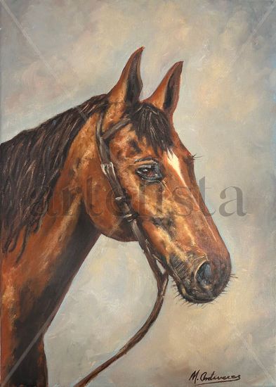 Caballo Óleo Lienzo Animales