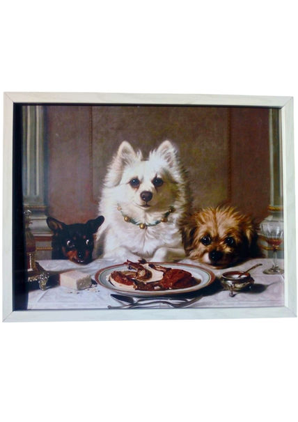 Perros Comida