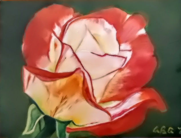 Una rosa es una rosa Óleo Papel Floral