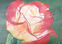 Una rosa es una rosa