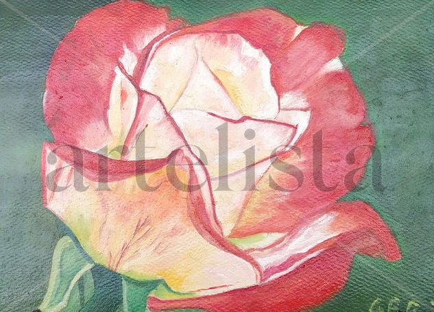 Una rosa es una rosa Óleo Papel Floral