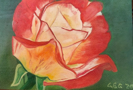 Una rosa es una rosa