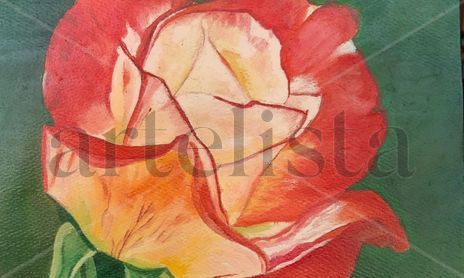 Canvas Card