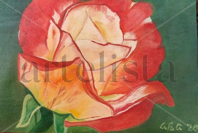 Una rosa es una rosa Óleo Papel Floral