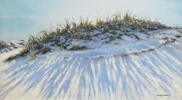 Dunas en playa de Valdelagrana XVI