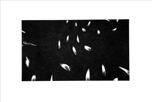 ¨S/T¨ Etching Process