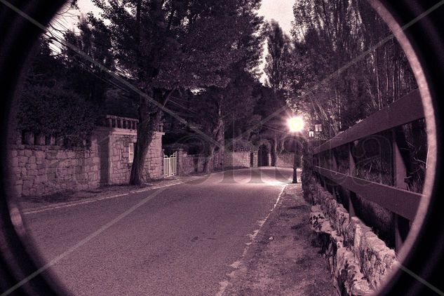 El guardián del crepúsculo Otras temáticas Blanco y Negro (Digital)