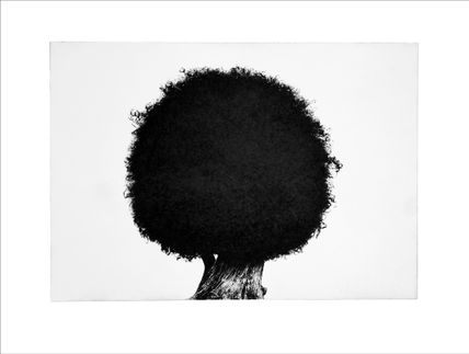 ¨natura¨