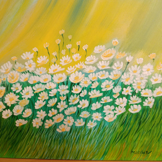 Campo de margaritas Oil Canvas Floral Painting