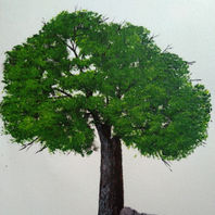 obra